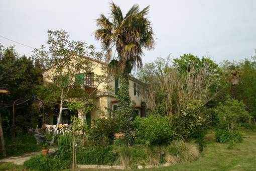 Location 6 personnes dans un mas 4* en Provence Location 6 personnes dans un mas 4* en Provence